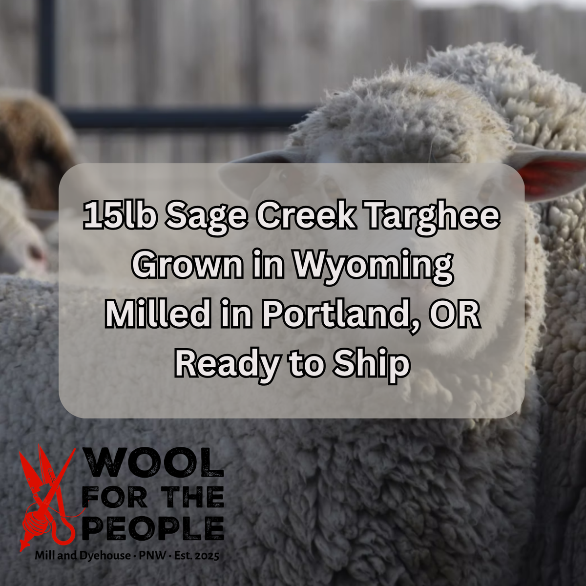 Wholesale Sage Creek Targhee ~ 15lb