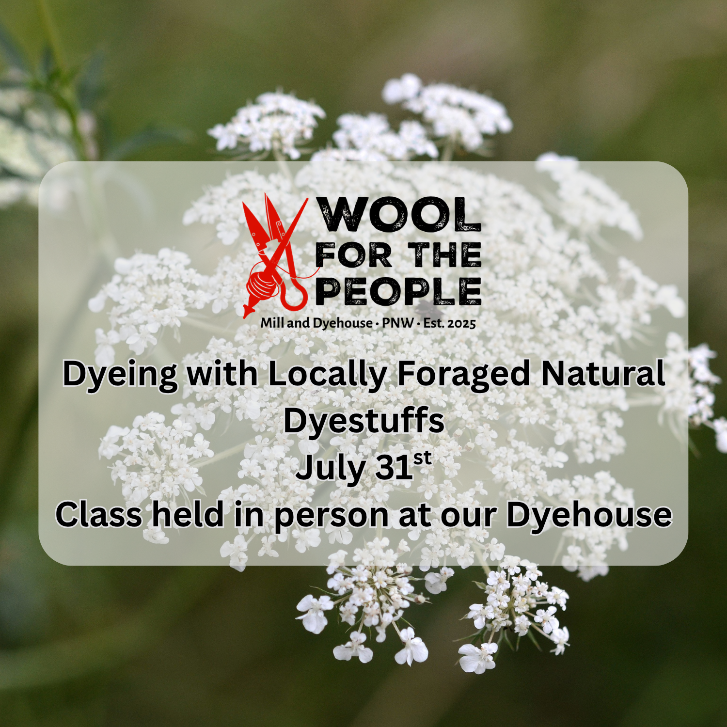 Dyeing with Locally Foraged Natural Dyestuffs ~ July 31st