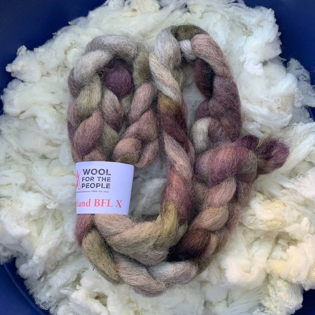 Shetland BFL X Roving