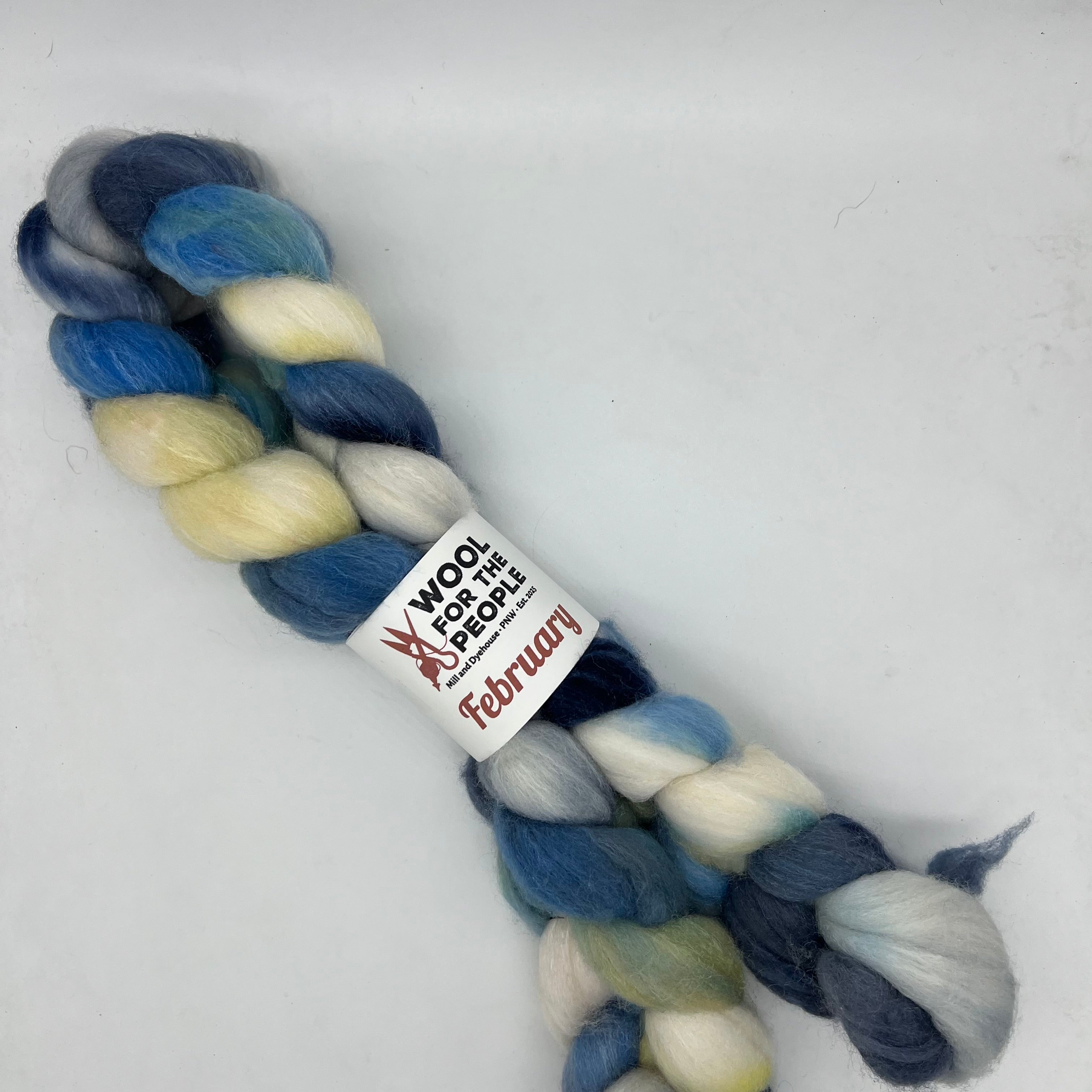 February: Hand dyed Superfine Merino, Silk, & Yak Combed Top