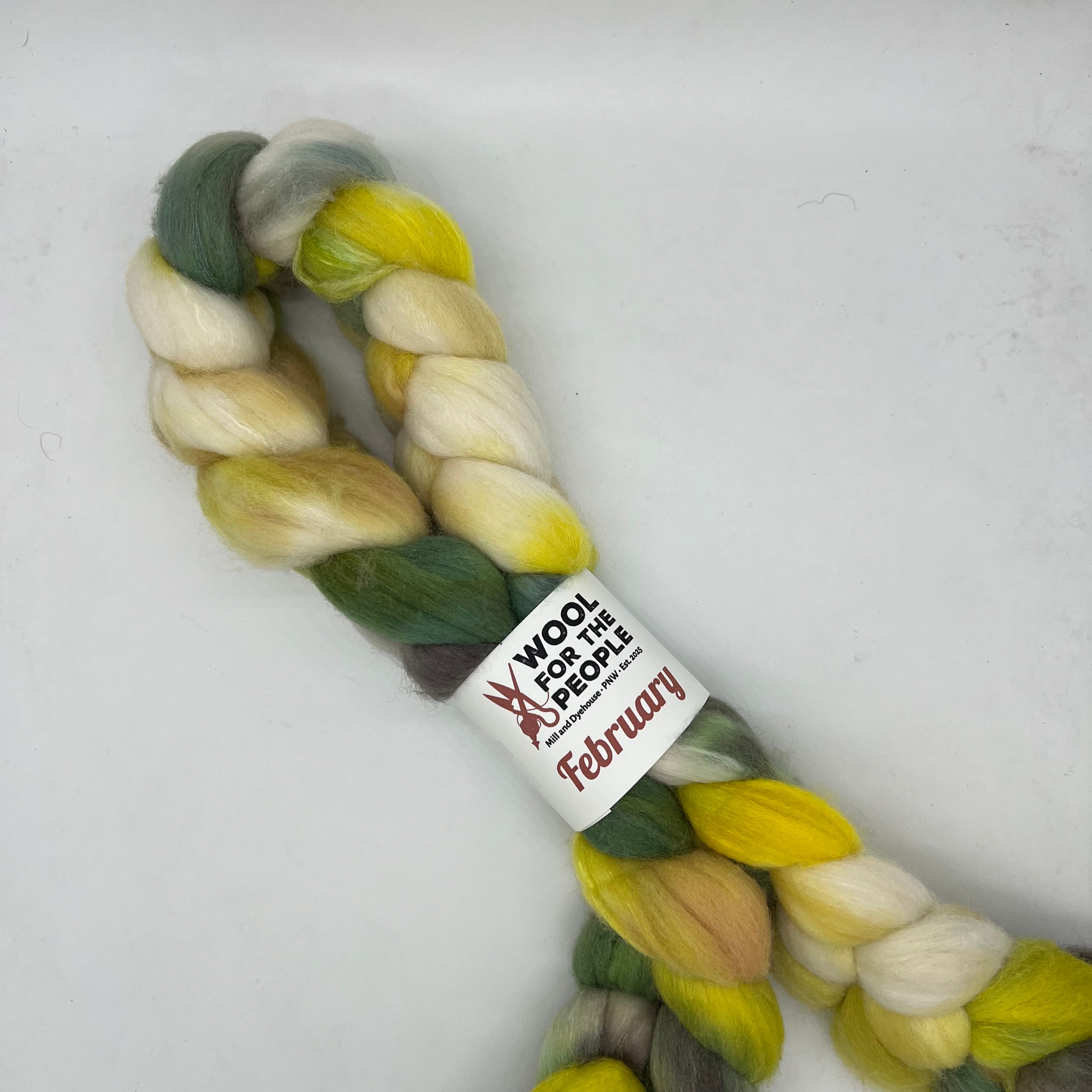 February: Hand dyed Superfine Merino, Silk, & Yak Combed Top