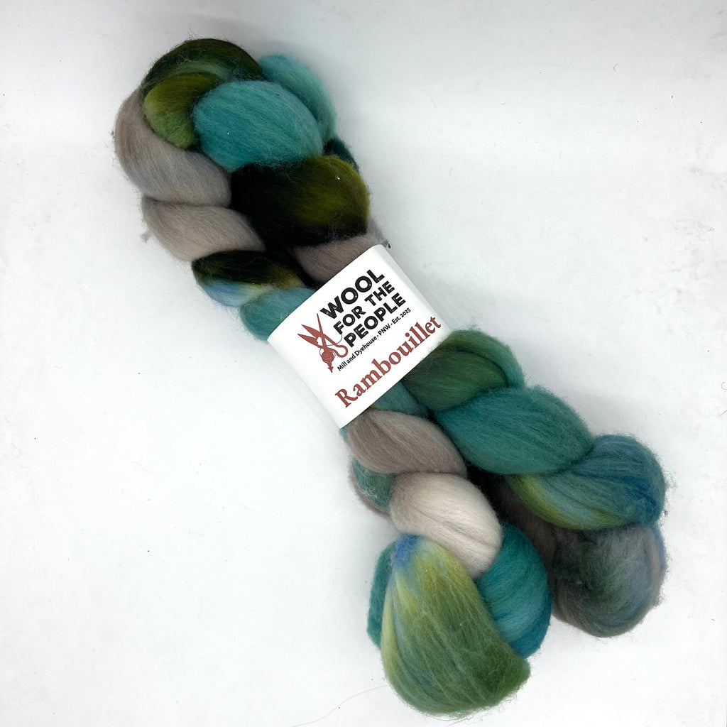 Rambouillet: Hand Dyed Combed Top