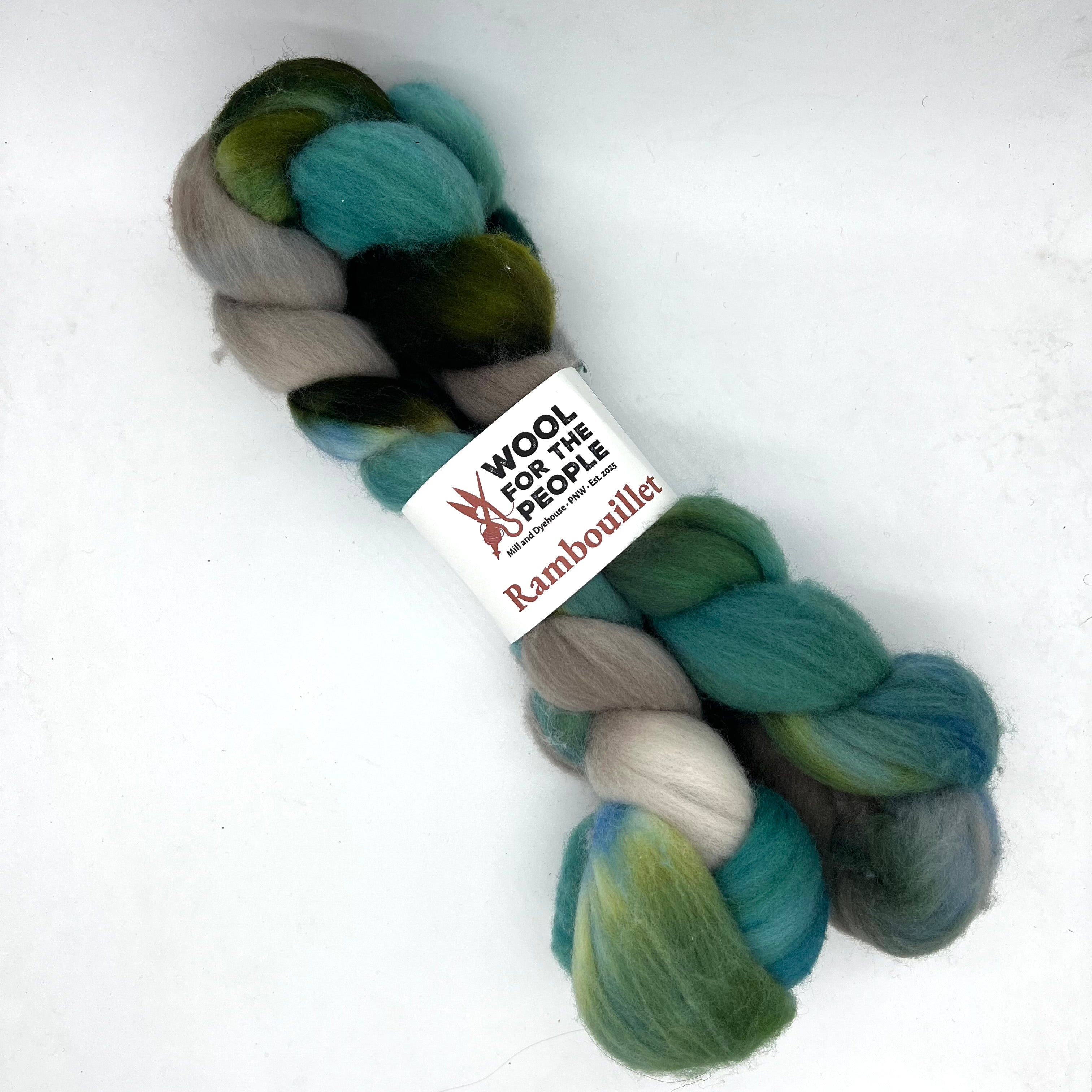Rambouillet: Hand Dyed Combed Top