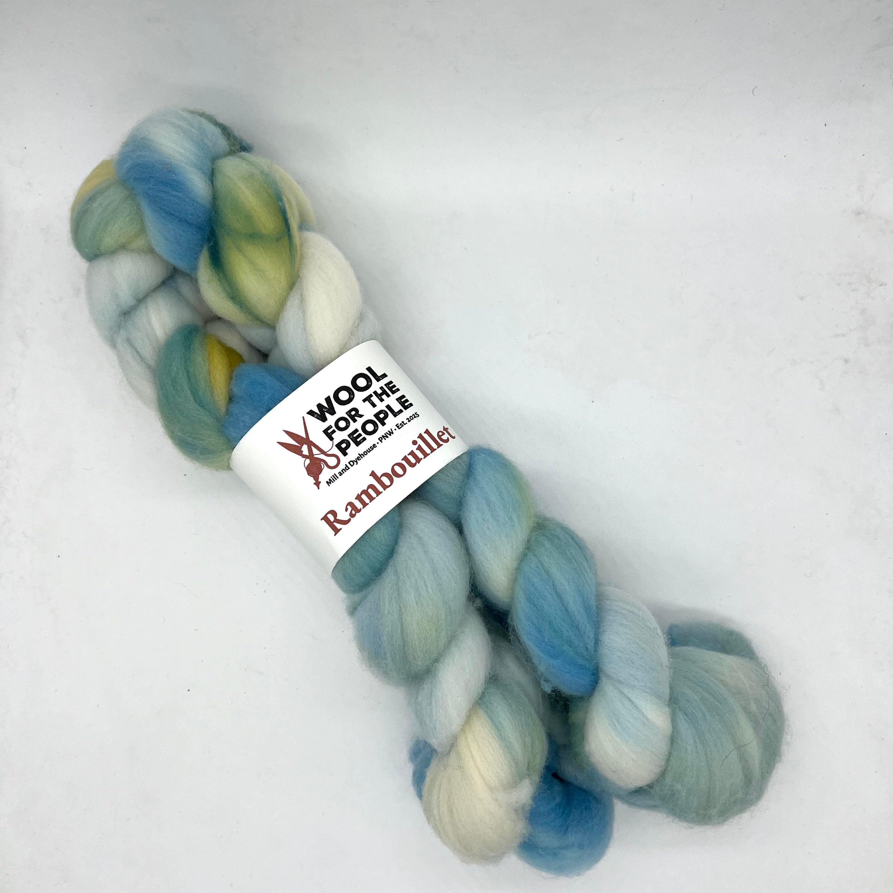 Rambouillet: Hand Dyed Combed Top