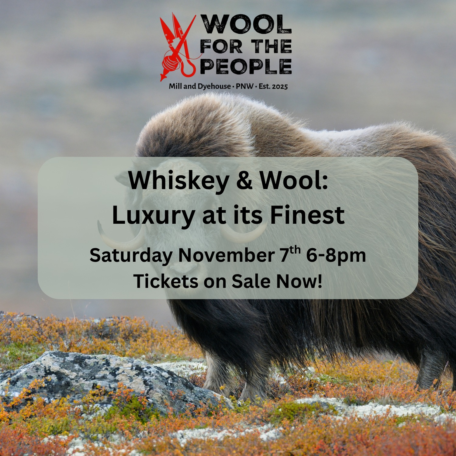 Whiskey & Wool: Luxury Fiber at its Finest ~ November 7th
