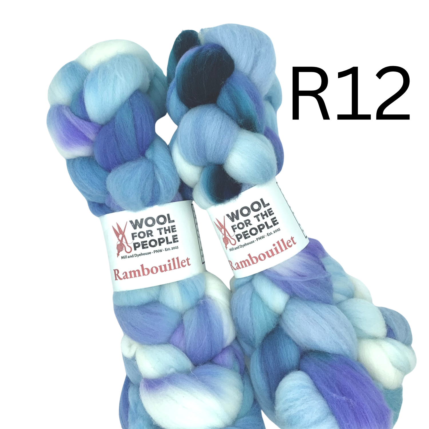 Hand Dyed Rambouillet Wool Combed Top for Spinning