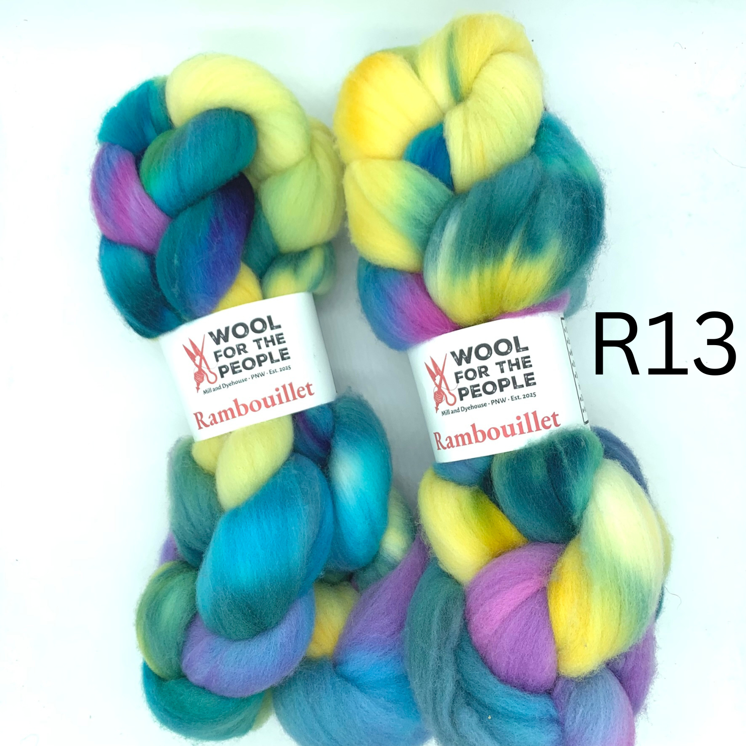 Hand Dyed Rambouillet Wool Combed Top for Spinning