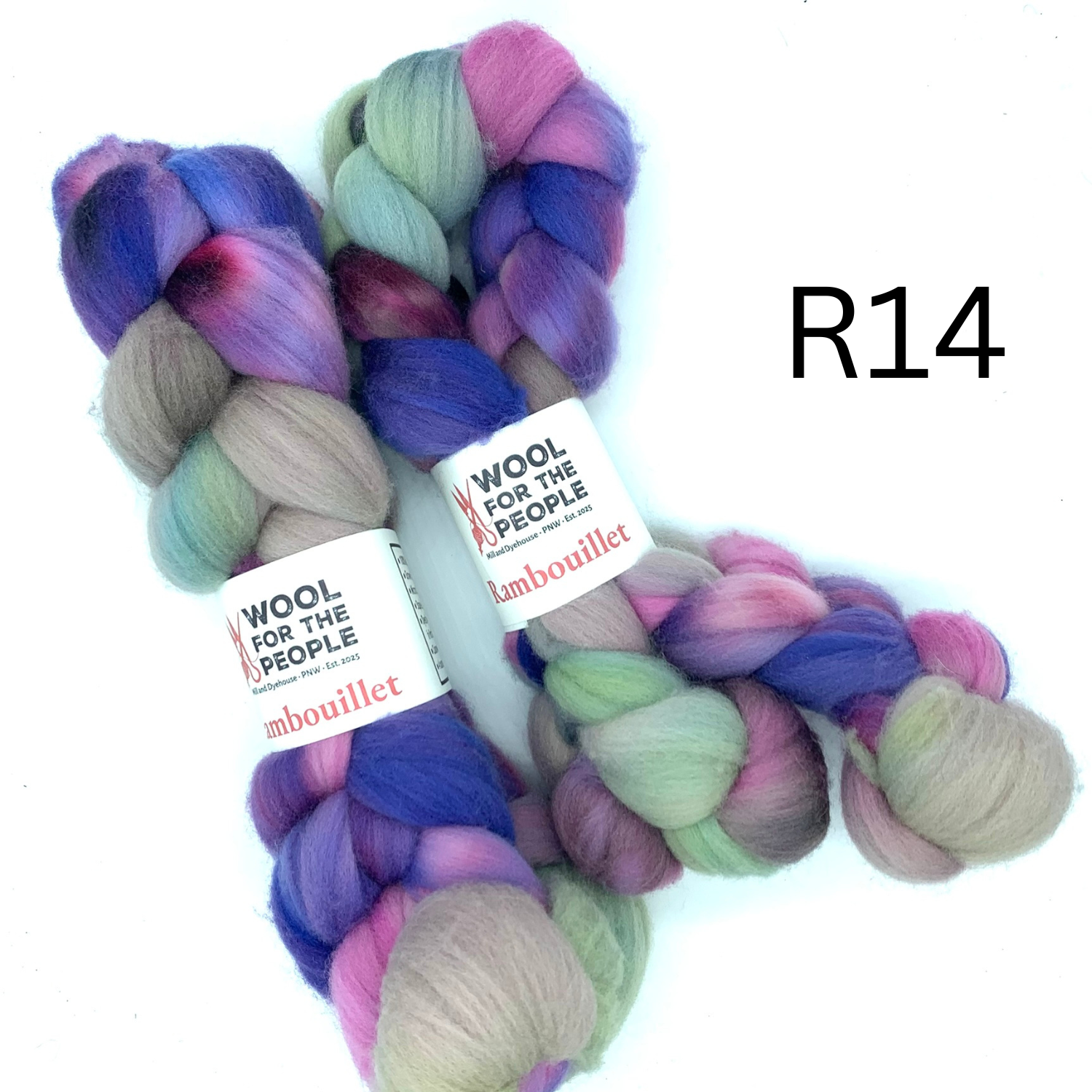 Hand Dyed Rambouillet Wool Combed Top for Spinning