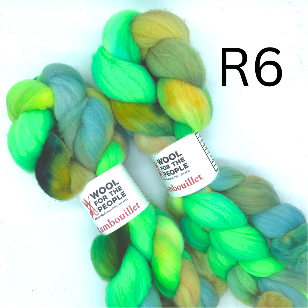 Hand Dyed Rambouillet Wool Combed Top for Spinning
