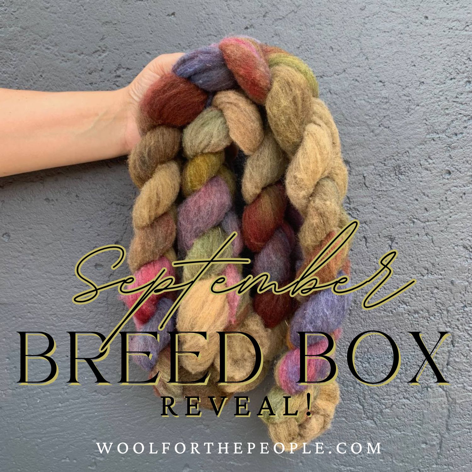 Monthly Breed Box