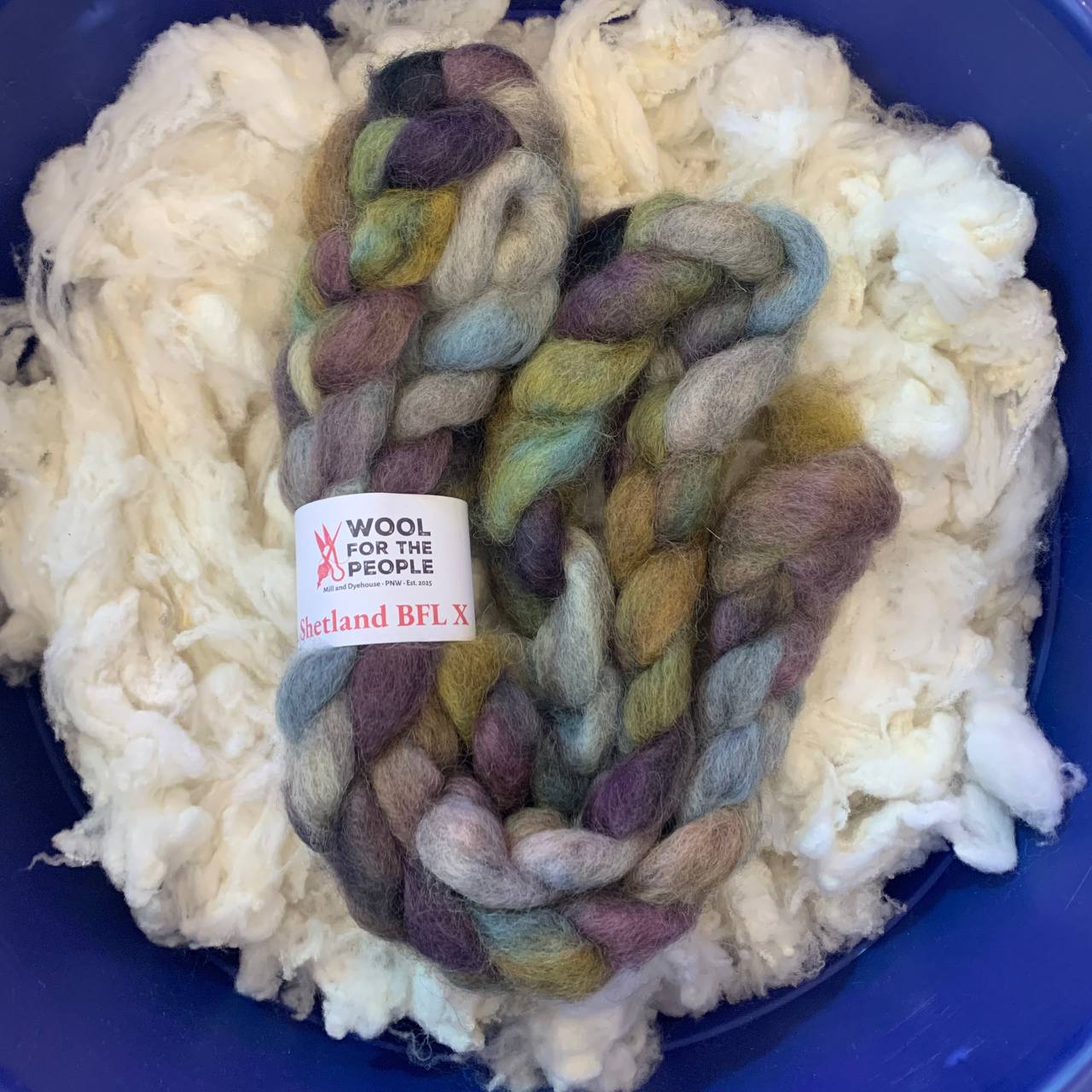 Shetland BFL X Roving